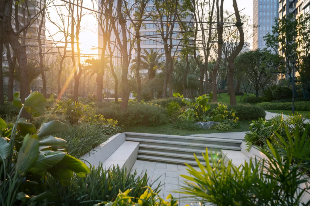 1738981253922135.jpg 1738981229335.jpg