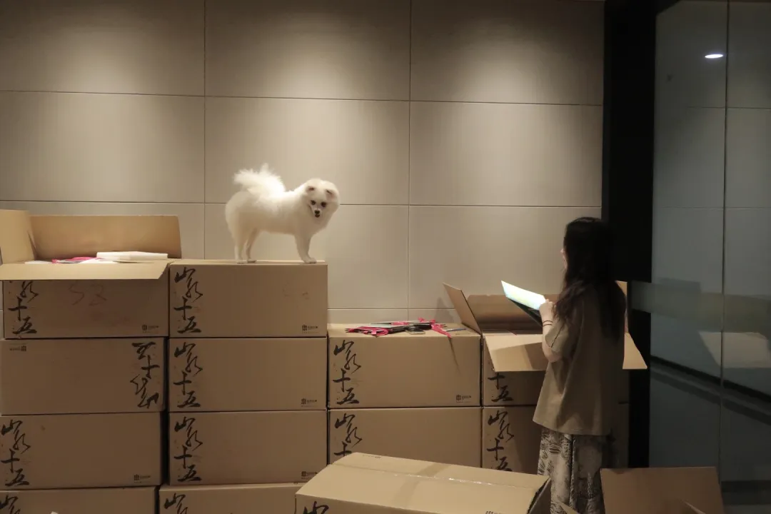 1738999762504586.jpg 1738999751105.jpg