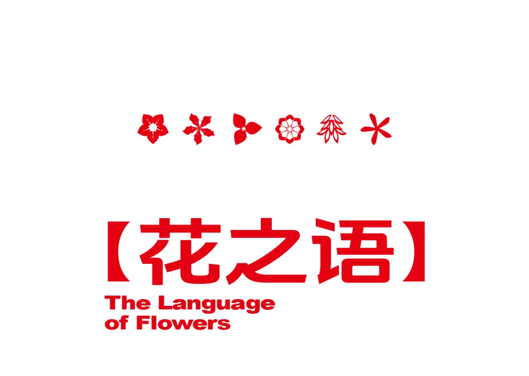 1739001547744727.jpg 1739001271330.jpg