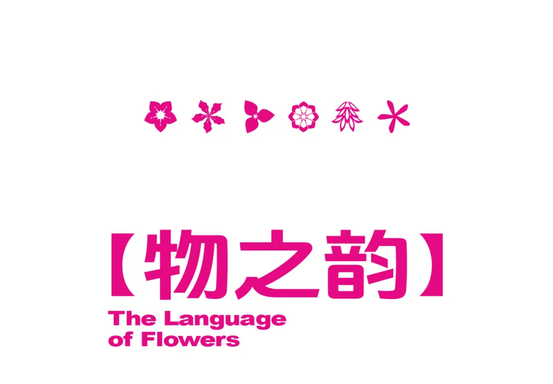 1739001569152786.jpg 1739001300392.jpg