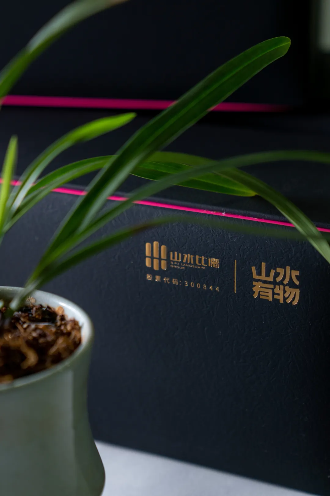 1739001625714425.jpg 1739001602503.jpg