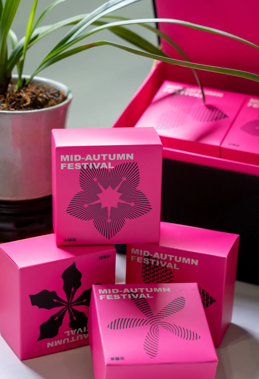 1739001936530498.jpg 1739001923286.jpg