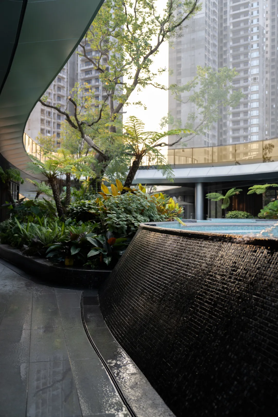 1739930161461919.jpg 1739930126230.jpg