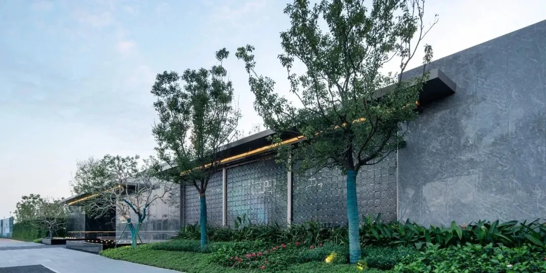 1739930199508263.jpg 1739930190329.jpg