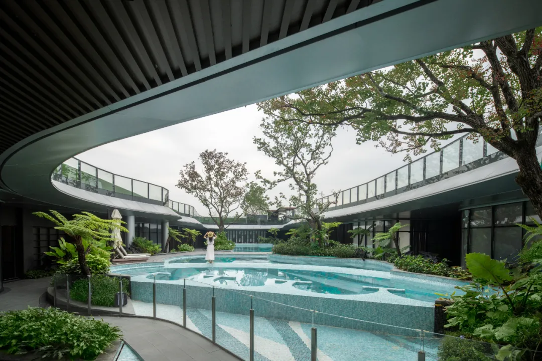 1739930391813962.jpg 1739930388509.jpg