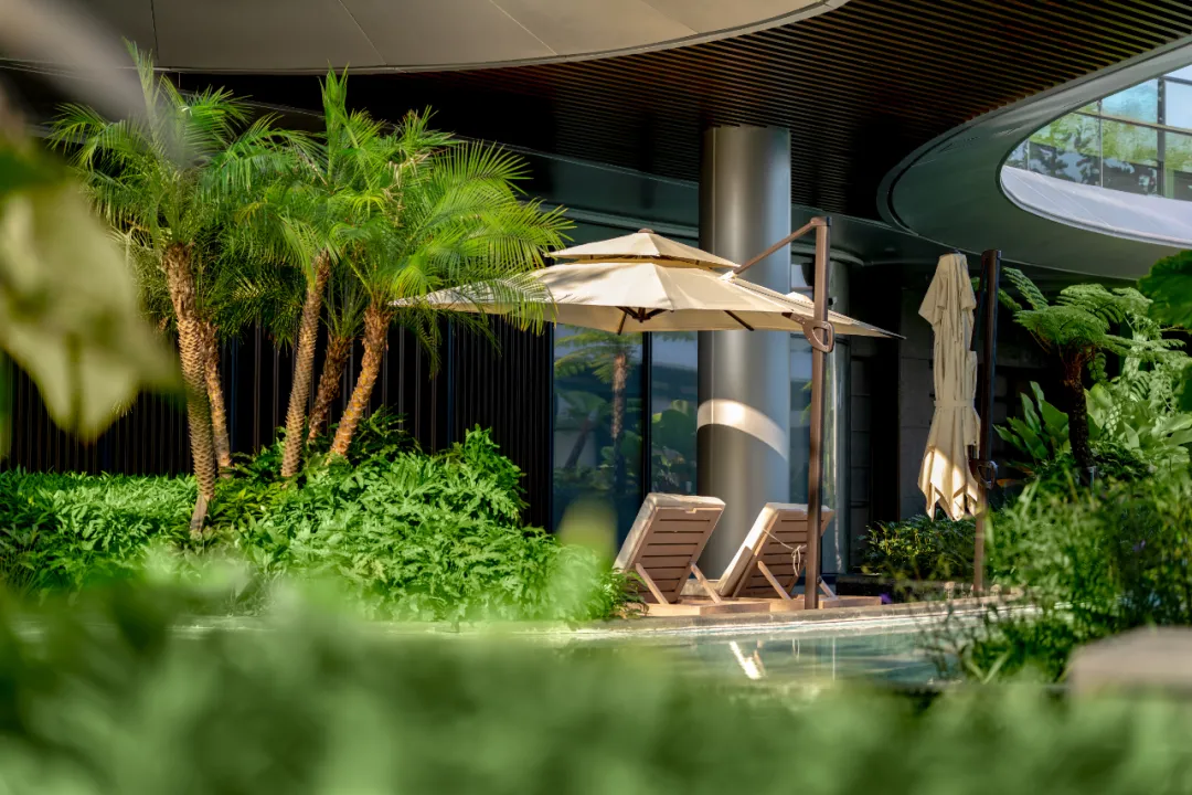 1739930471122964.jpg 1739930457459.jpg