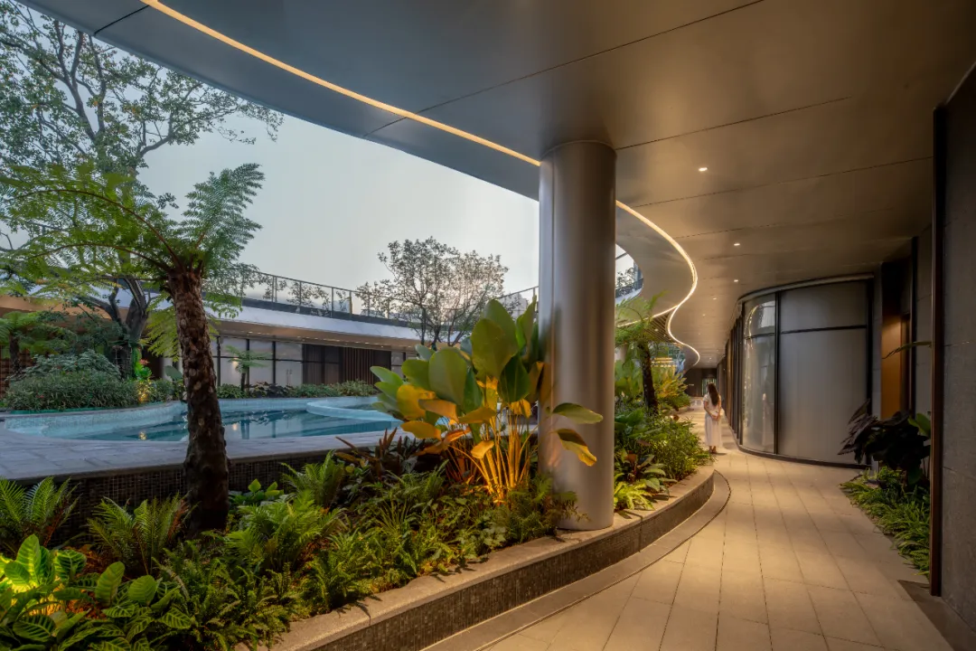 1739930520159425.jpg 1739930512709.jpg