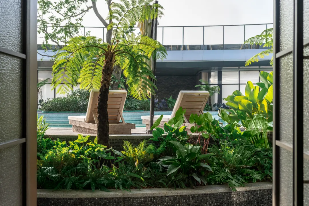 1739930849754248.jpg 1739930836601.jpg