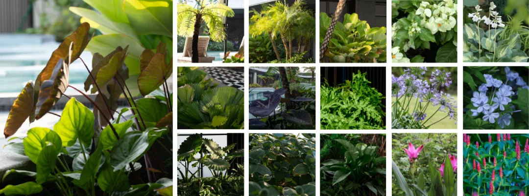 1739931015173019.jpg 1739931005566.jpg