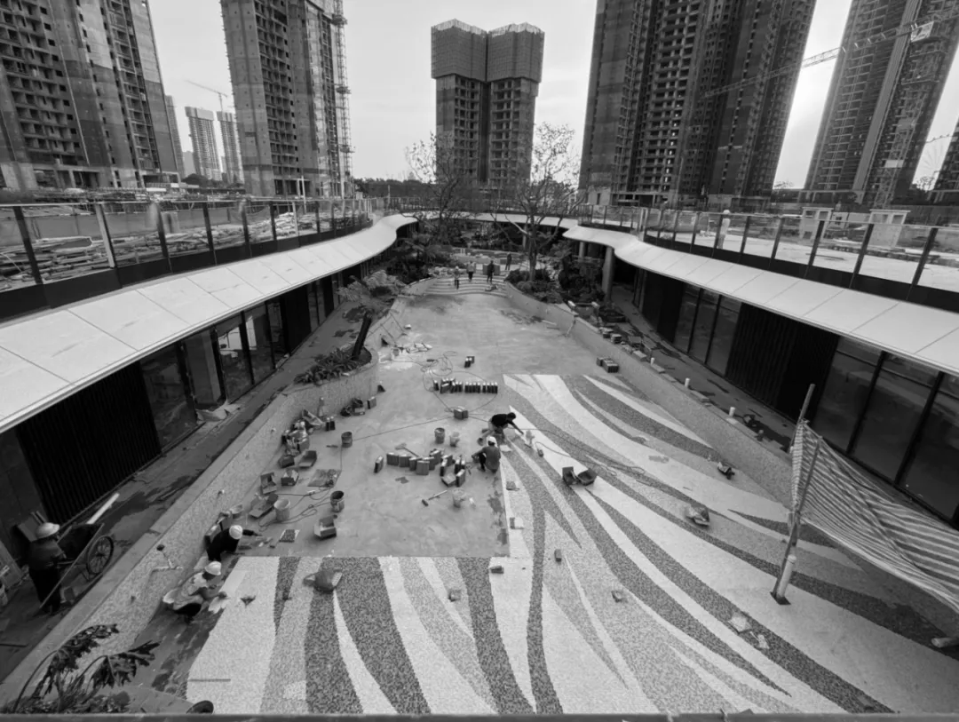 1739931052931657.jpg 1739931037053.jpg