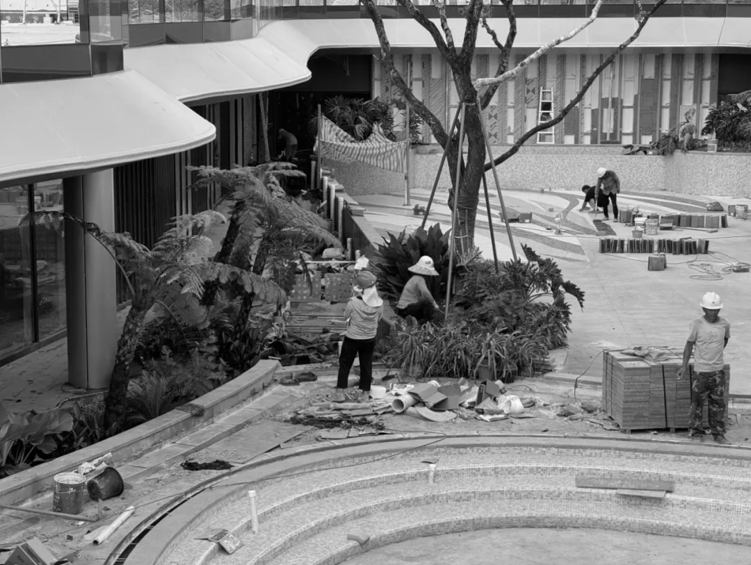 1739931057402692.jpg 1739931040465.jpg