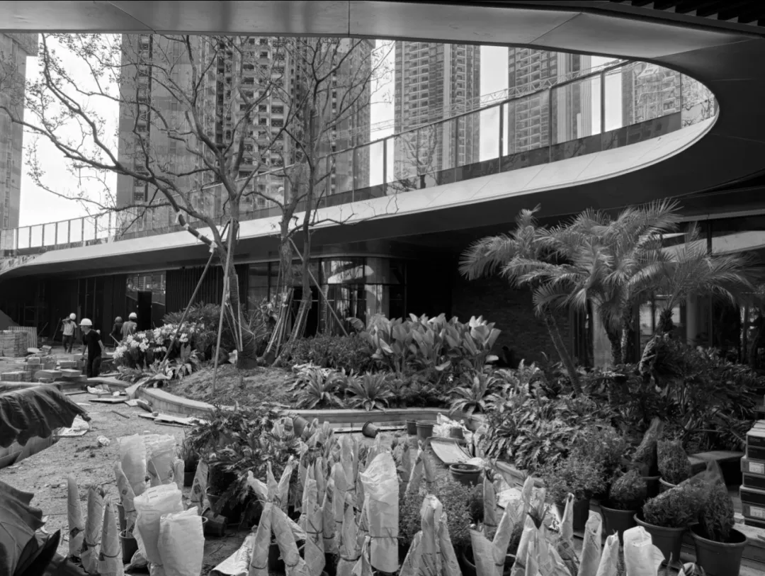 1739931062860522.jpg 1739931044970.jpg