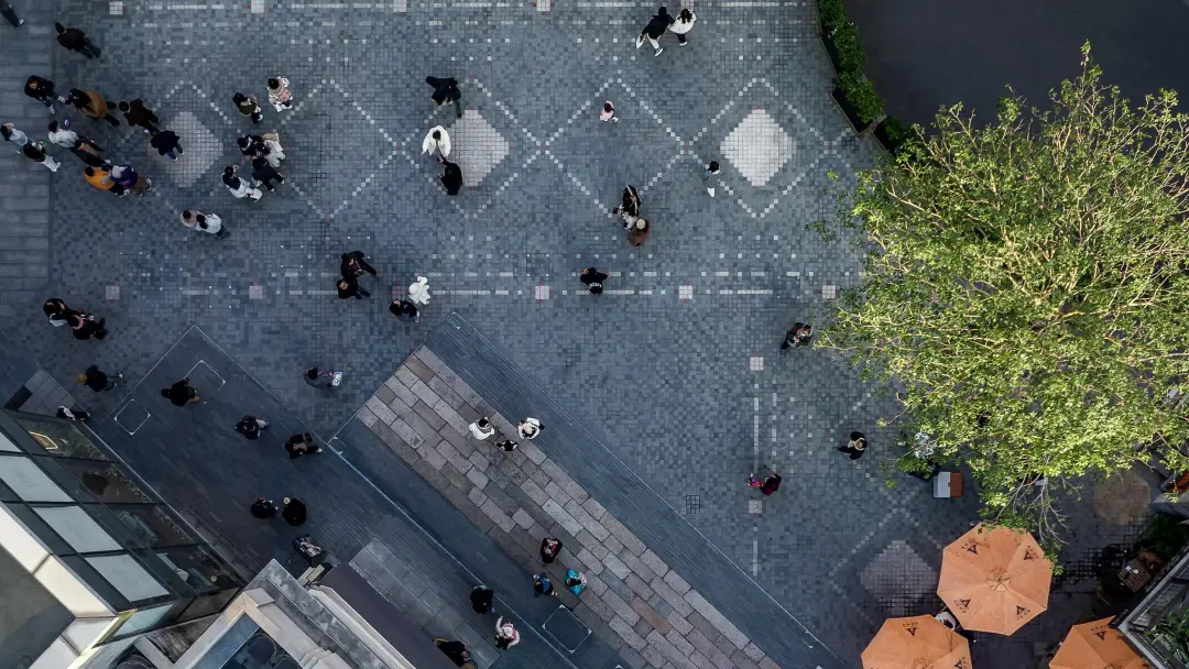 1740016453196820.jpg 1740016452651.jpg