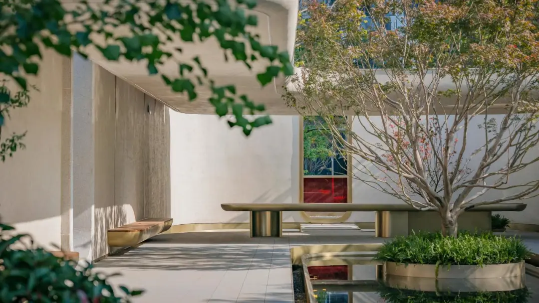 1740016472109895.jpg 1740016472512.jpg