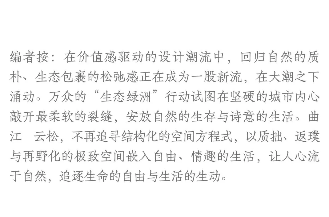 1741078170759318.jpg 1741078111911.jpg