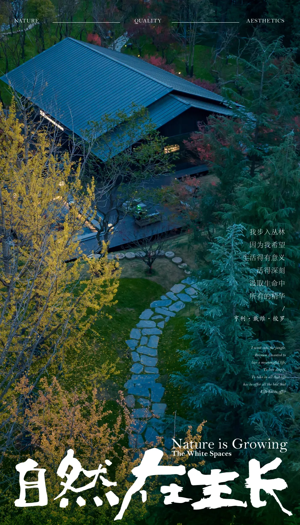 1741078271210628.jpg 1741078116806.jpg