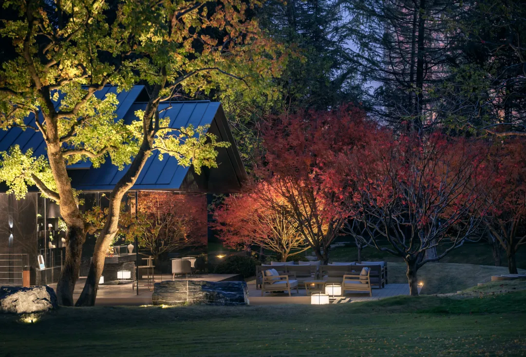 1741078278108332.jpg 1741078119043.jpg