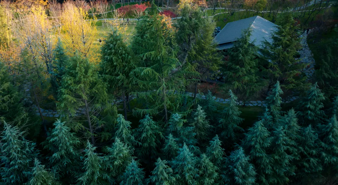 1741078569191146.jpg 1741078537873.jpg