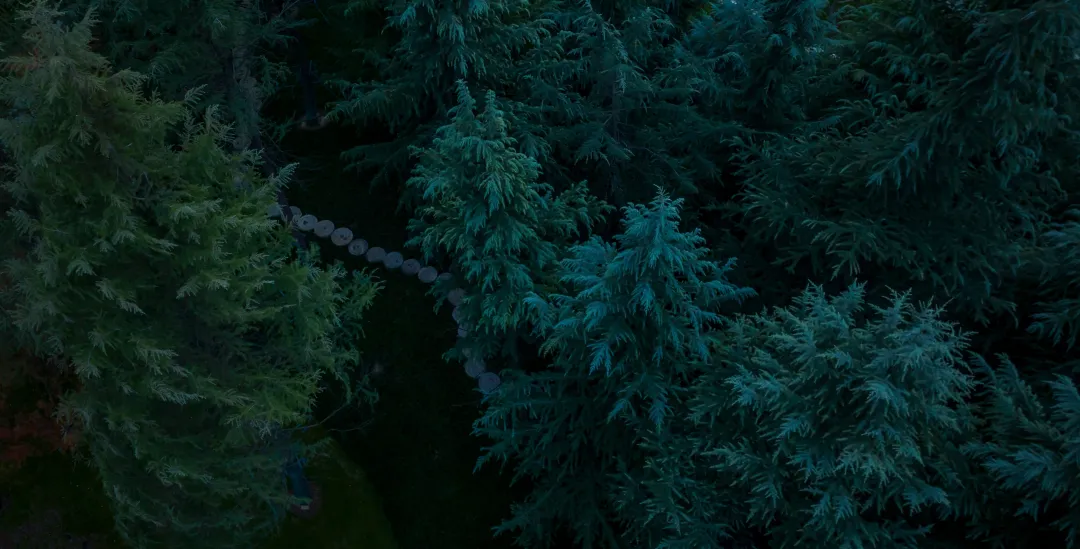 1741078629431443.jpg 1741078621336.jpg