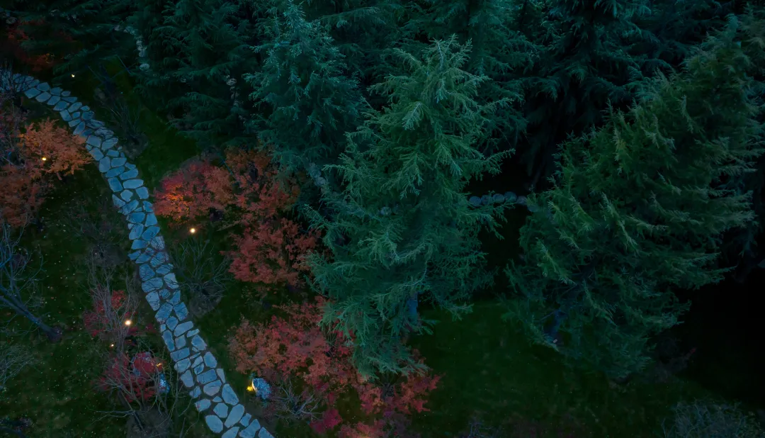 1741078638176444.jpg 1741078624439.jpg