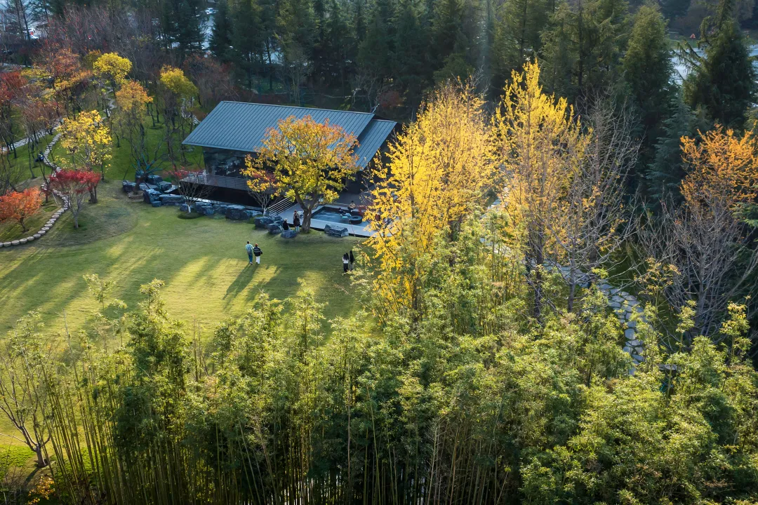 1741078709932592.jpg 1741078704761.jpg