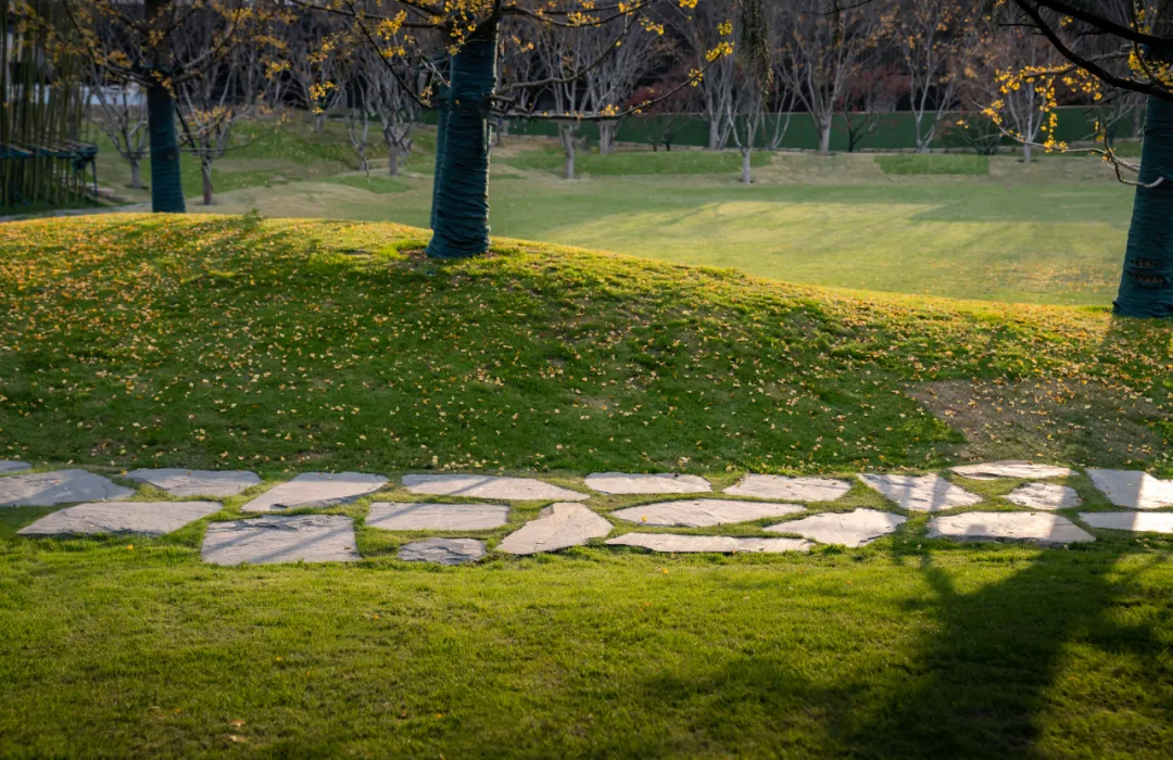 1741078851135214.jpg 1741078794217.jpg