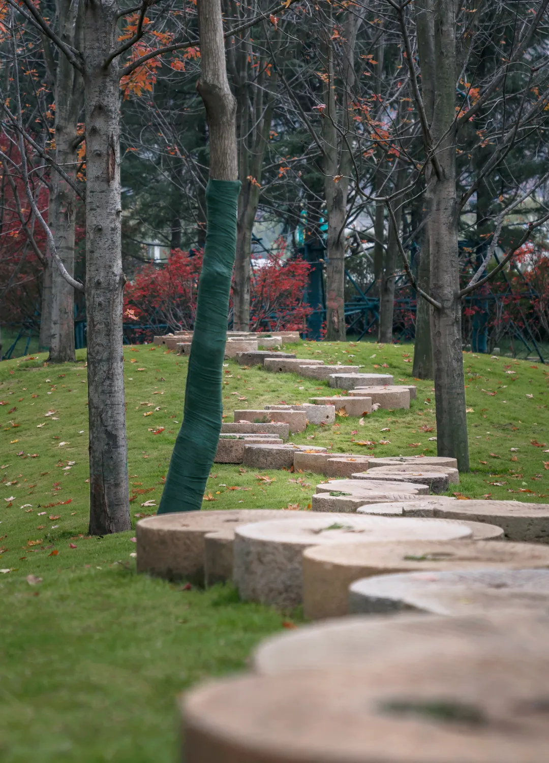 1741078858205389.jpg 1741078801790.jpg