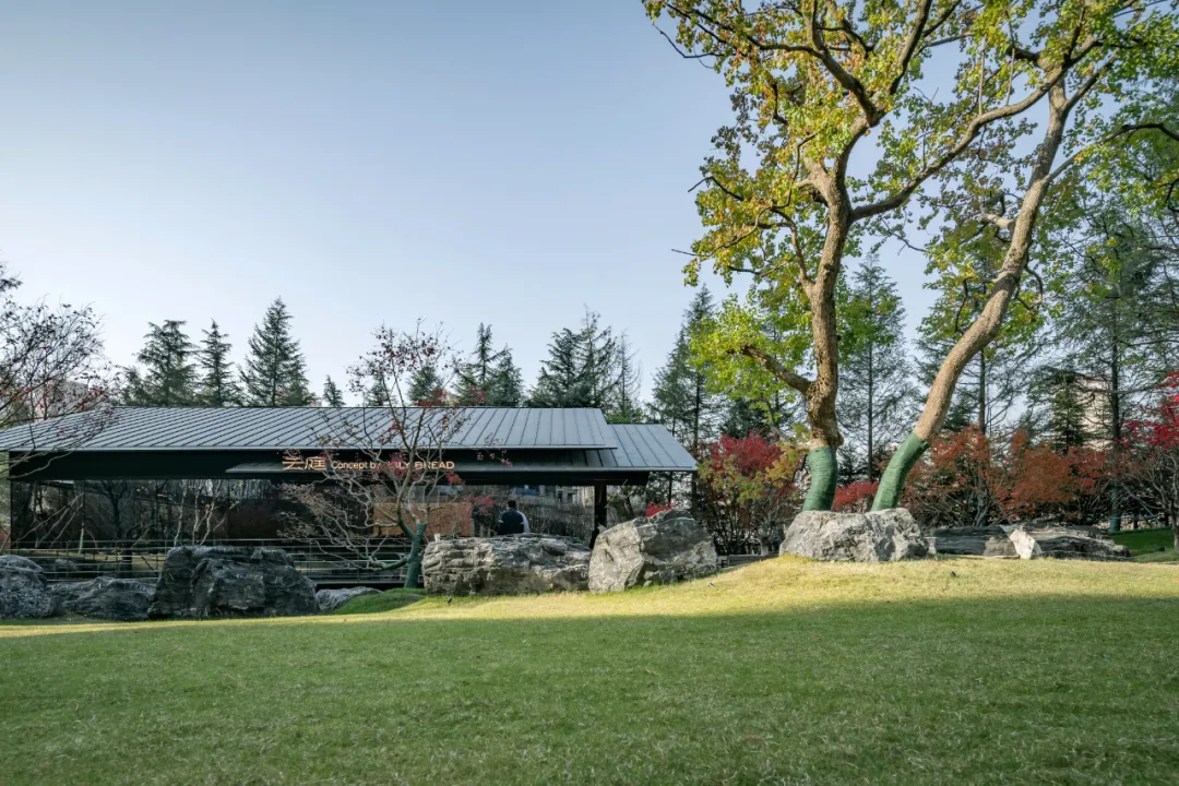 1741078945183667.jpg 1741078928182.jpg