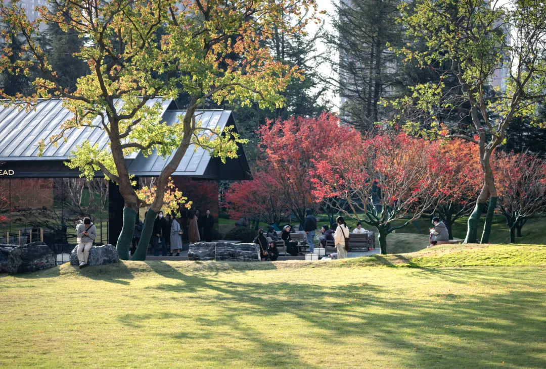 1741078949173046.jpg 1741078930464.jpg