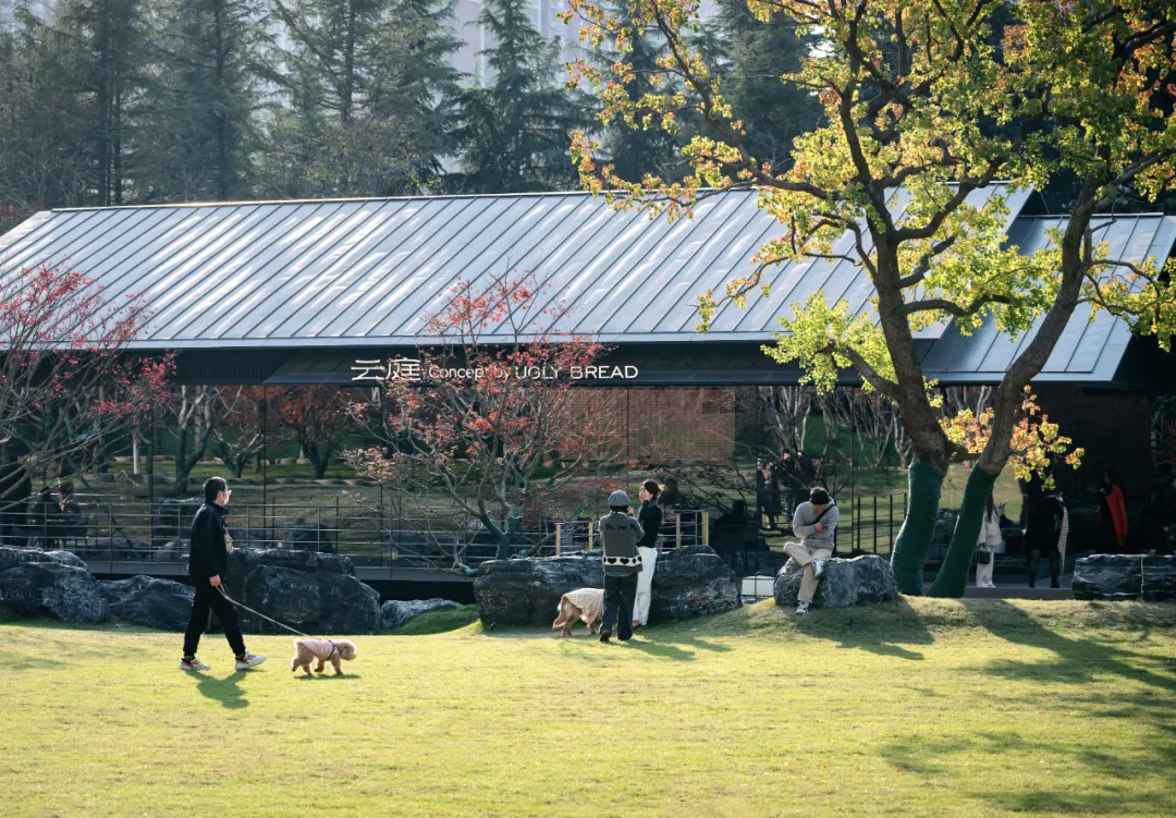 1741078955136880.jpg 1741078933704.jpg