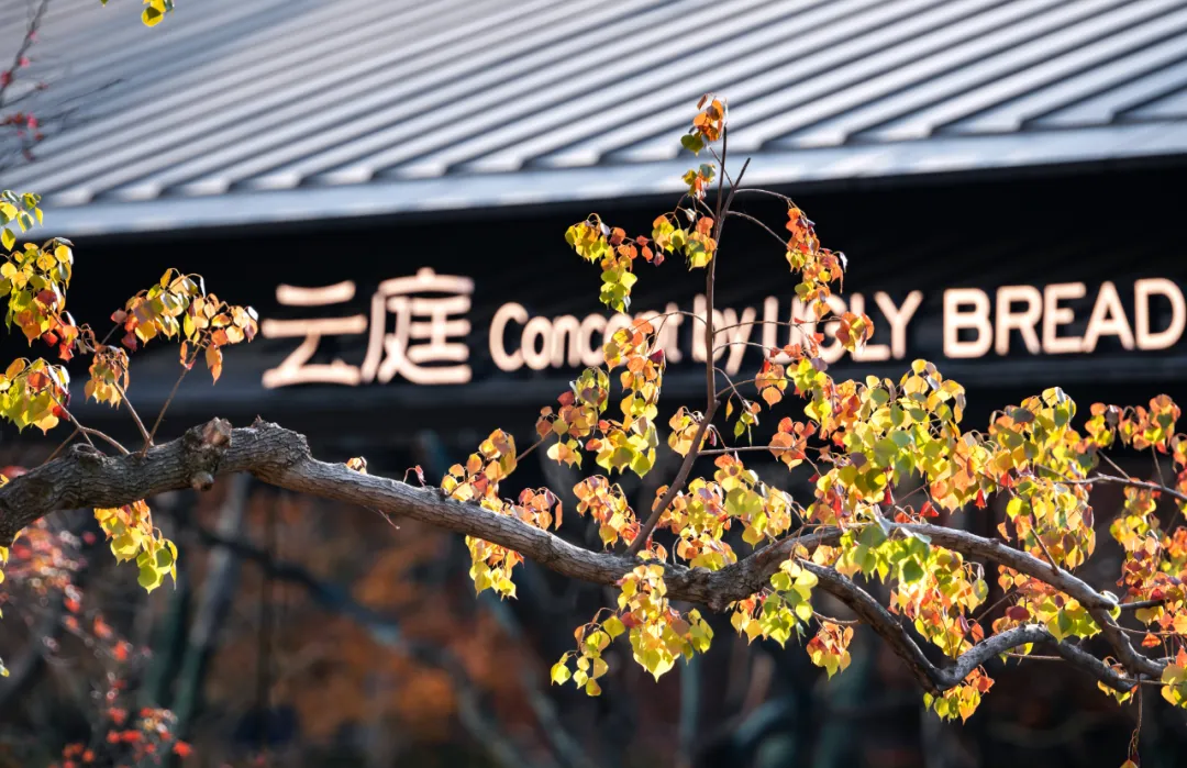 1741078959143817.jpg 1741078939005.jpg