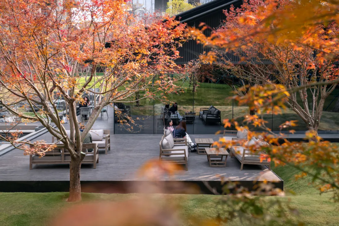 1741079076616098.jpg 1741079054355.jpg