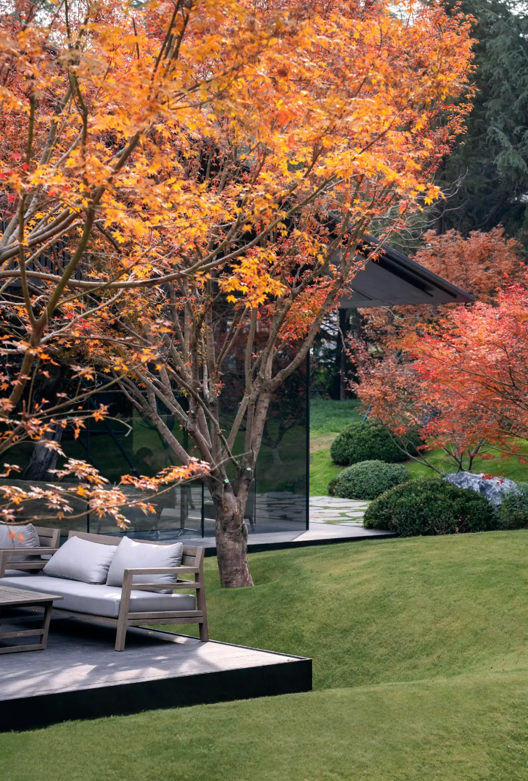 1741079088312161.jpg 1741079065177.jpg