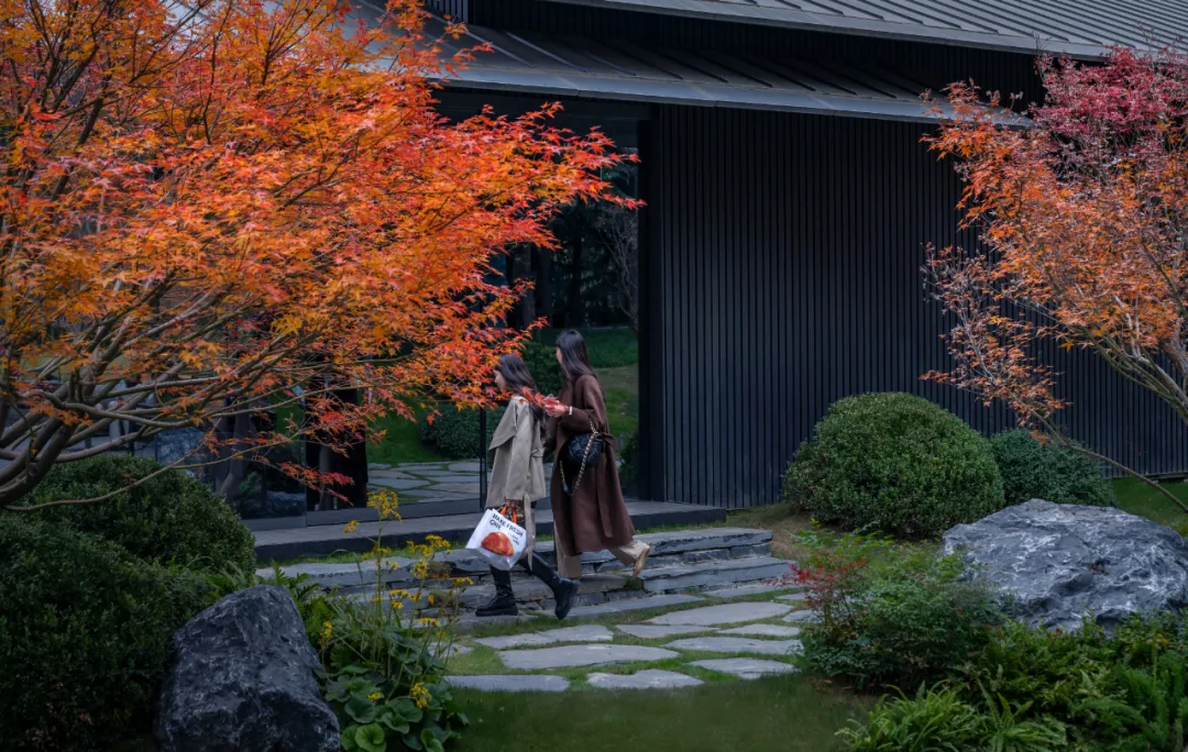 1741079093572987.jpg 1741079067414.jpg