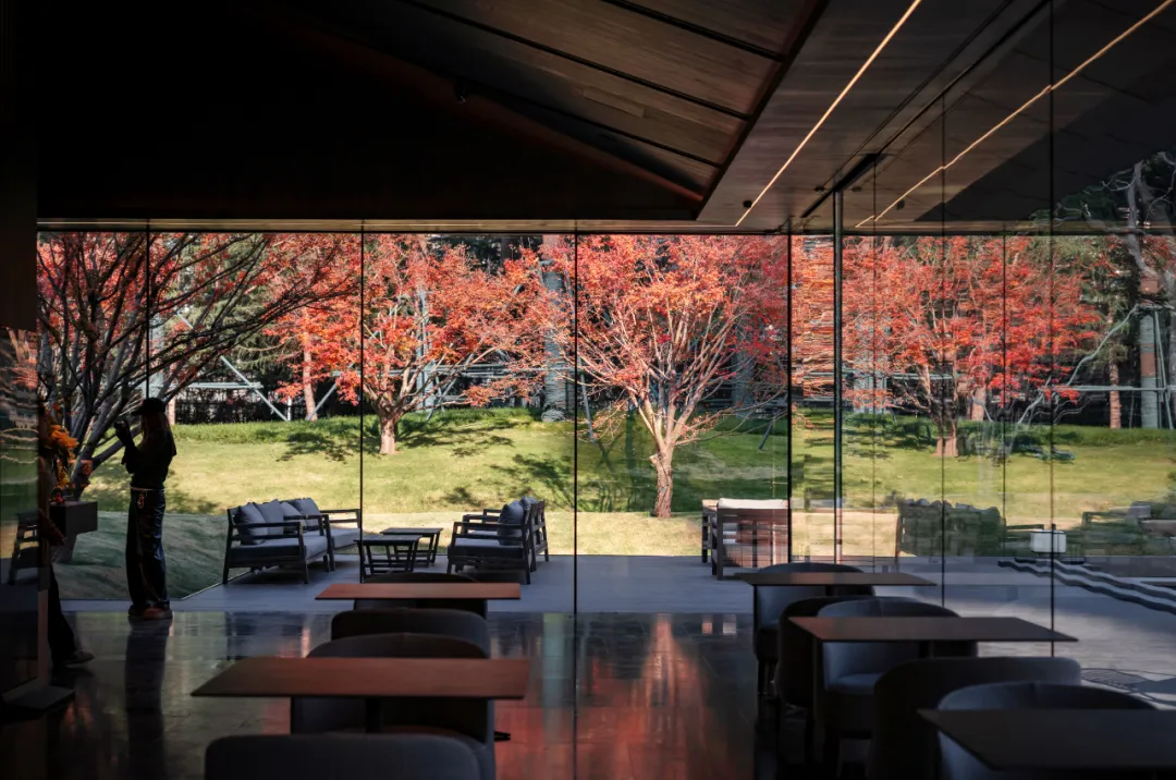 1741079159266520.jpg 1741079144439.jpg