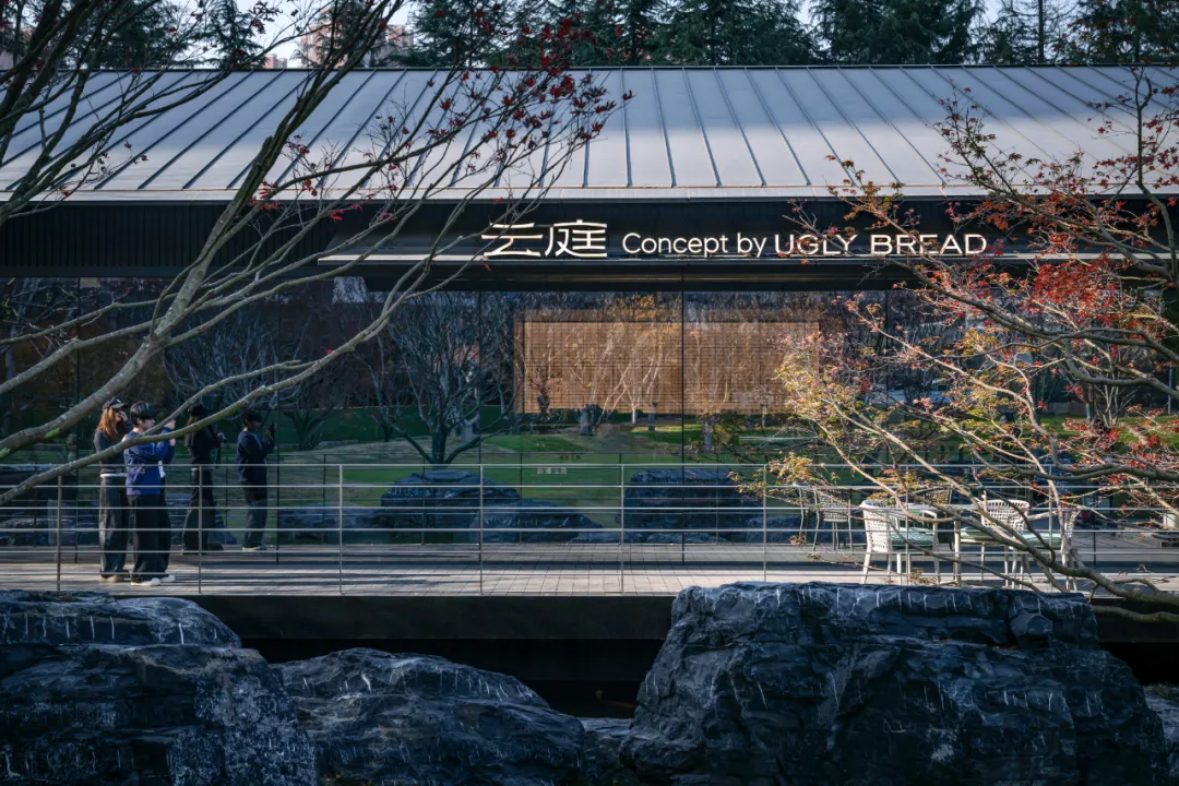 1741079178100742.jpg 1741079169818.jpg