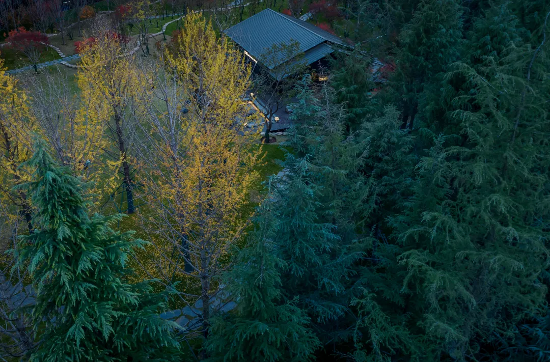 1741079260453002.jpg 1741079248690.jpg