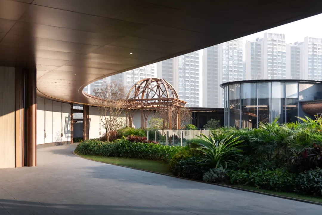 1741080086142642.jpg 1741080075536.jpg