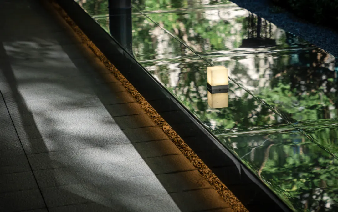 1741139490323235.jpg 1741139469290.jpg