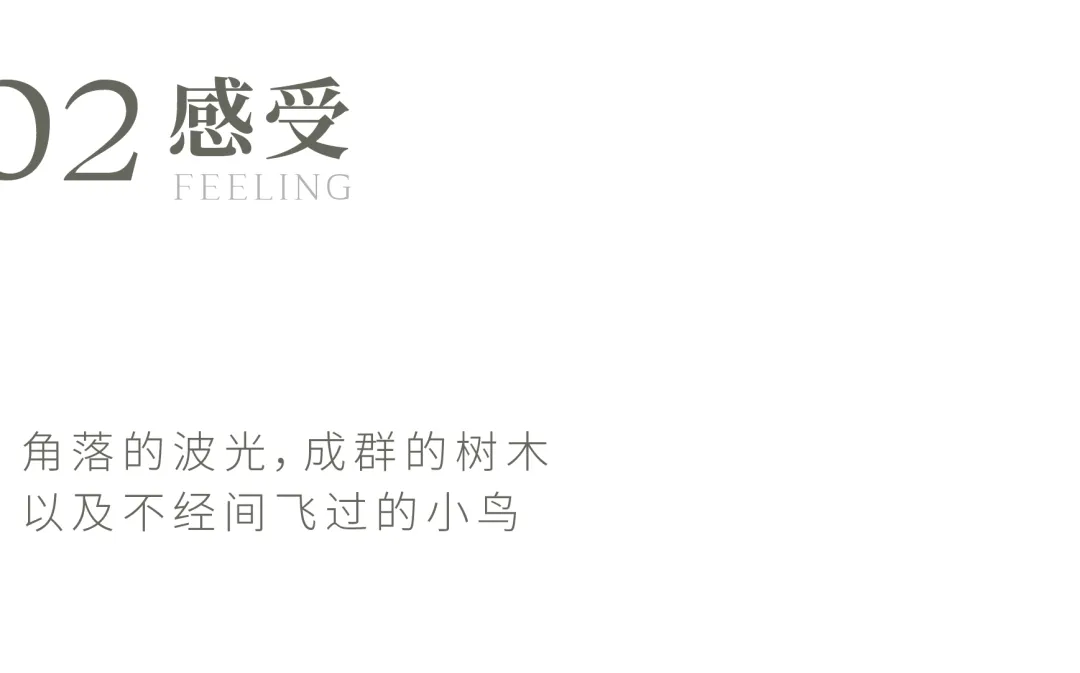 1741139687141965.jpg 1741139684663.jpg