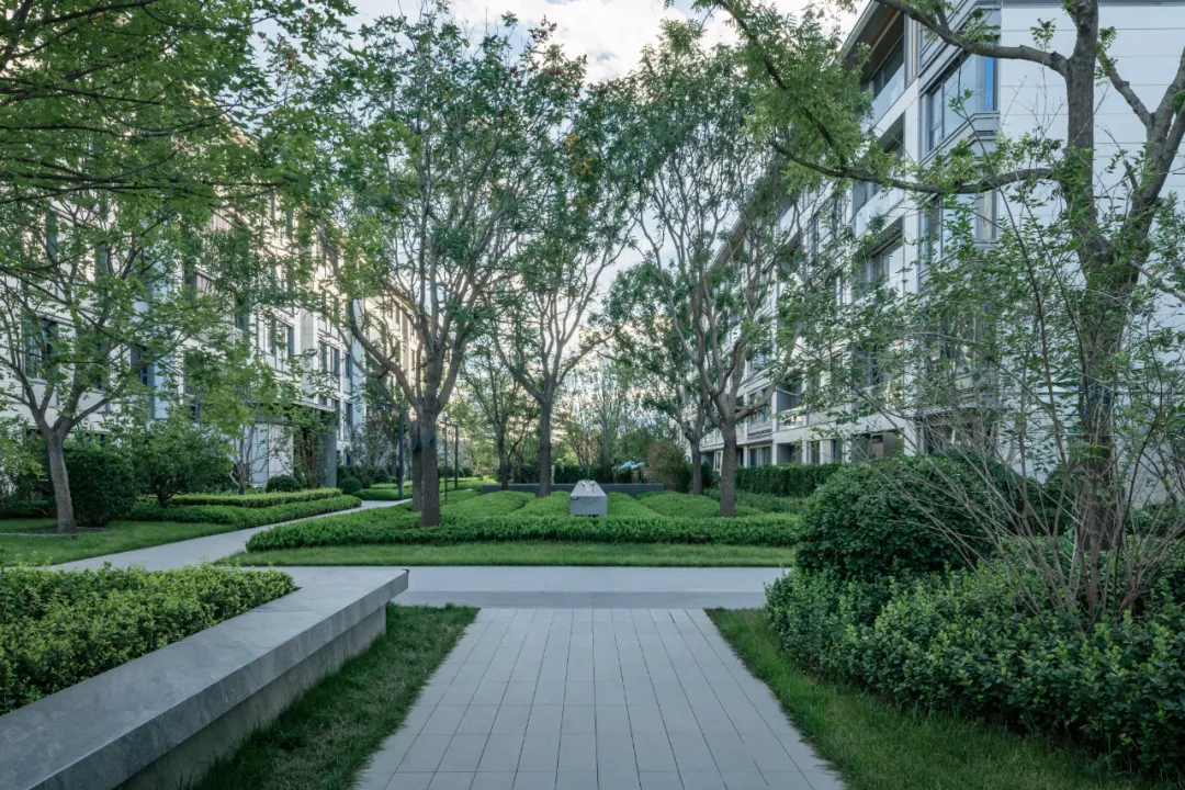 1741139716909634.jpg 1741139707637.jpg