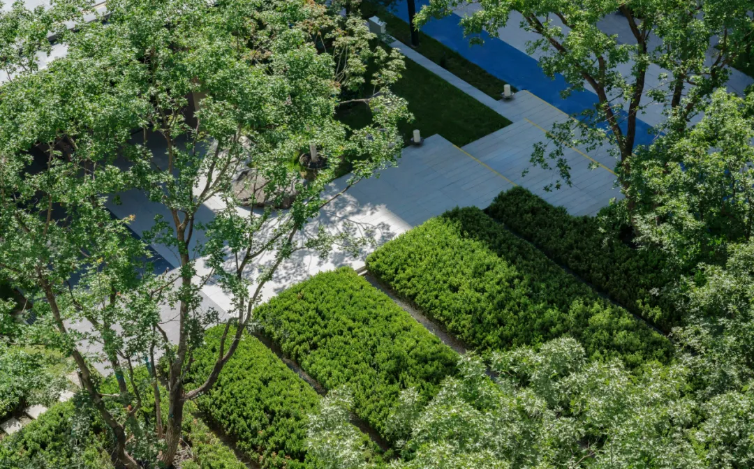 1741139725193659.jpg 1741139713493.jpg