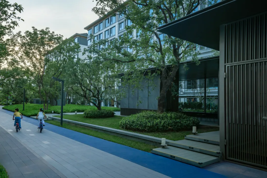 1741139778183735.jpg 1741139769615.jpg