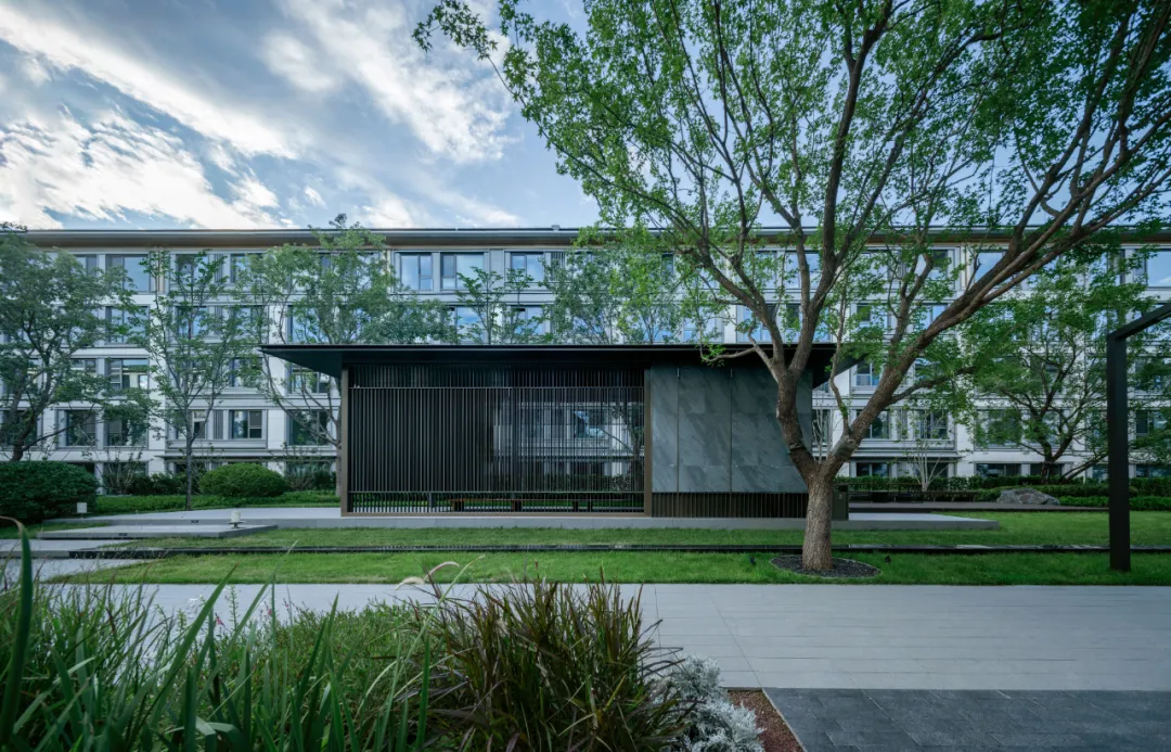 1741139859161224.jpg 1741139853992.jpg