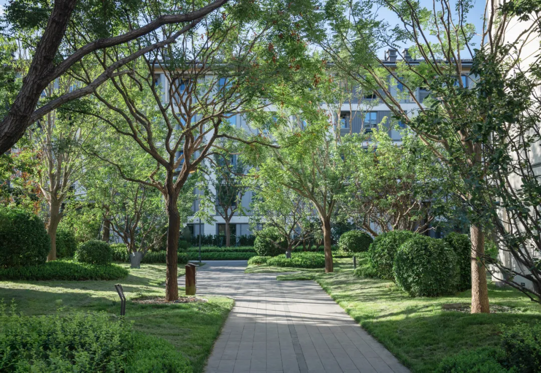 1741140126433415.jpg 1741140112176.jpg