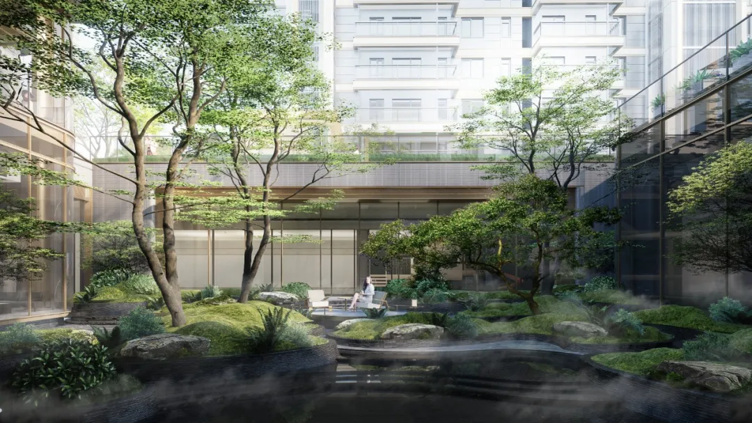 1742289087348638.jpg 1742289080516.jpg