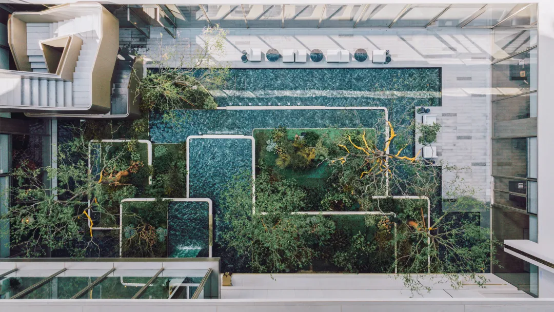 1742348912227201.jpg 1742348904803.jpg