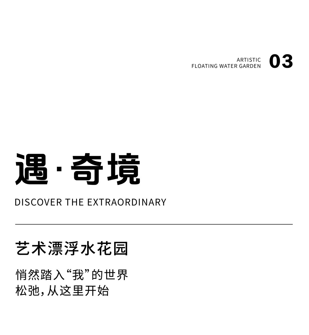 1742349201109293.jpg 1742349185937.jpg