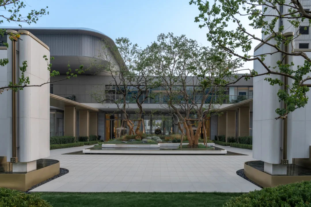 1742349207155287.jpg 1742349188826.jpg