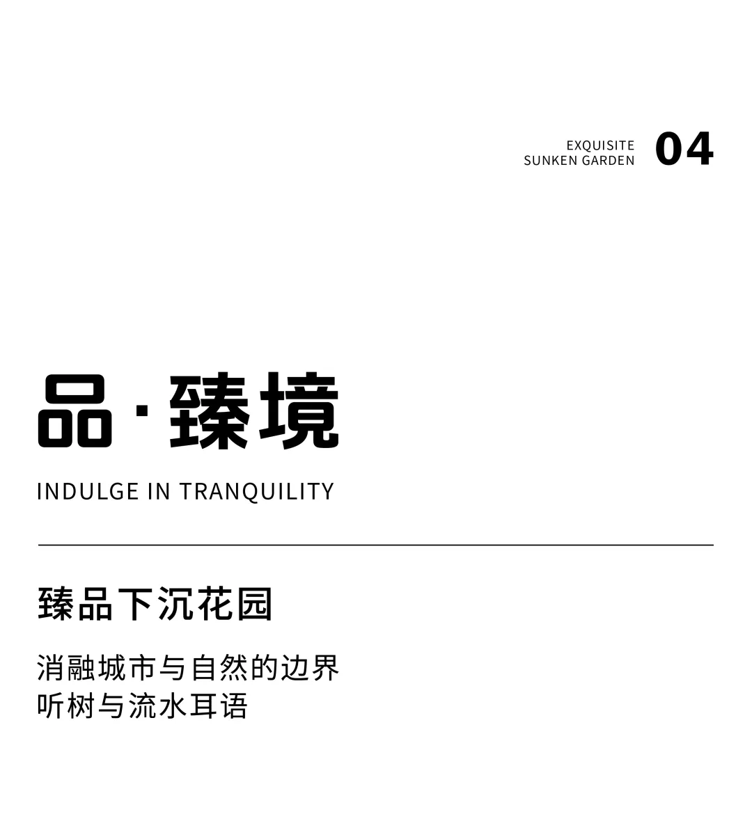 1742349322546198.jpg 1742349299479.jpg